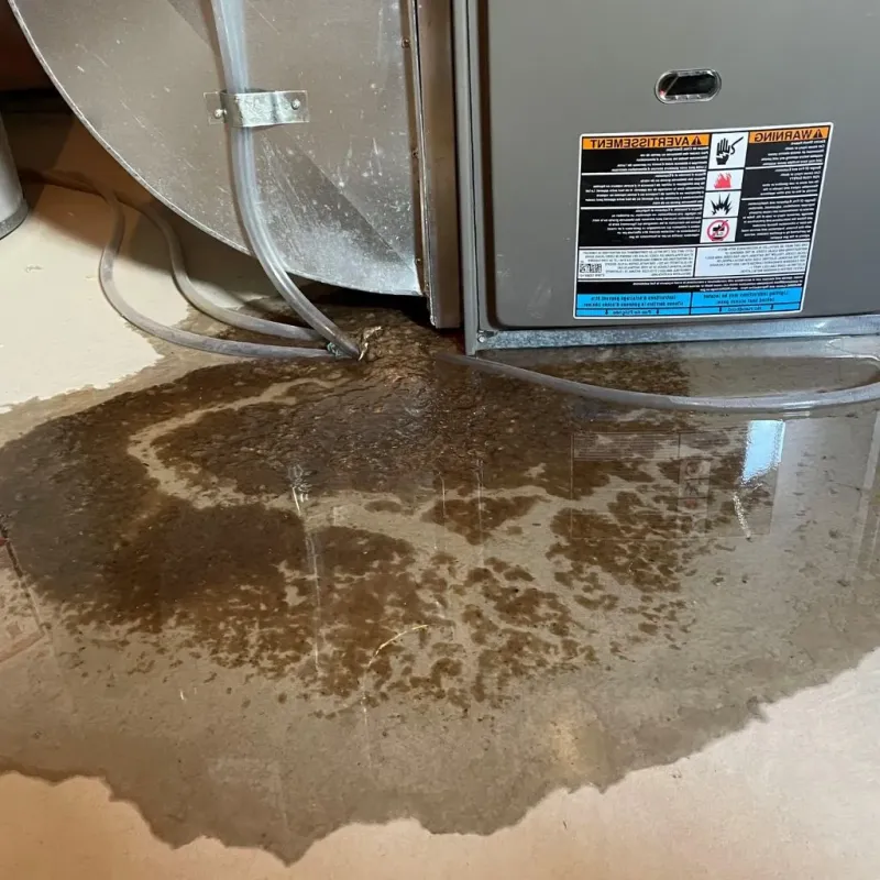 Pipe Burst and Leak Restoration in Capitol Heights, MD