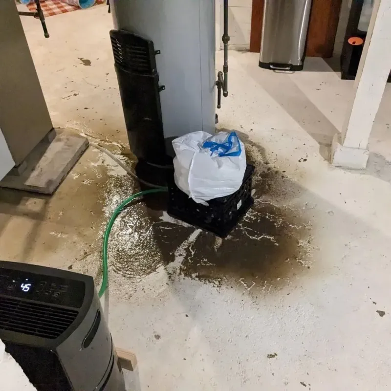Sewage Backup Cleanup Service in Capitol Heights, MD